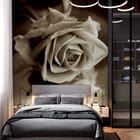 Miniatura fototapety Róża z Odbiciem w Sepii we wnętrzu sypialni