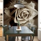 Miniatura fototapety Róża z Odbiciem w Sepii we wnętrzu kuchni