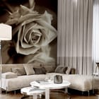 Miniatura fototapety Róża z Odbiciem w Sepii we wnętrzu salonu