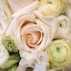 Miniatura fototapety Bukiet jasnych róż i eustom