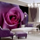 Miniatura fototapety Różowy kwiat róży na ciemnym tle we wnętrzu salonu