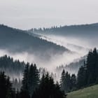 Miniatura fototapety Górski krajobraz z lasem i mgłą