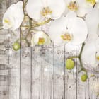 Miniatura fototapety Orchidee na drewnianym tle