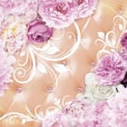 Miniatura fototapety Eleganckie piwonie na beżowym tle