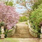 Miniatura fototapety Kamienne schody w ogrodzie