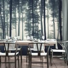 Miniatura fototapety Tajemniczy Las w Mgle we wnętrzu kuchni