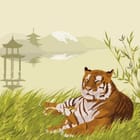 Miniatura fototapety Tygrys wśród zielonej trawy