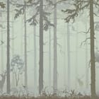 Miniatura fototapety Las z Jeleniami i Mgłą