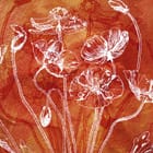 Miniatura fototapety Białe kontury maków na czerwonym tle