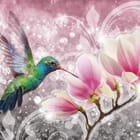 Miniatura fototapety Kolorowy koliber i magnolie