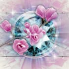 Miniatura fototapety Różowe magnolie na błękitnym tle