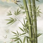 Miniatura fototapety Bambus i Orchidee nad Wodą