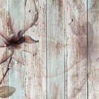 Miniatura fototapety Magnolie na drewnianym tle