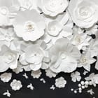 Miniatura fototapety Białe Papierowe Kwiaty na Czerni