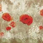 Miniatura fototapety Czerwone maki na tle ornamentów