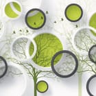 Miniatura fototapety Abstrakcyjne okręgi z zielenią