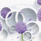 Miniatura fototapety Fioletowe kwiaty w białych okręgach