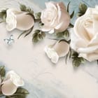 Miniatura fototapety Białe róże z zielonymi liśćmi