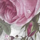 Miniatura fototapety Egzotyczne kwiaty na betonie fragment #1