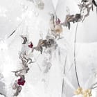 Miniatura fototapety Abstrakcyjne wzory z liśćmi fragment #1