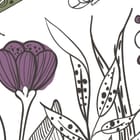 Miniatura fototapety Kwiaty polne na białym tle fragment #2