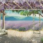 Miniatura fototapety Pergola z kwitnącą glicynią