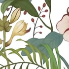 Miniatura fototapety Kolorowe kwiaty na białym tle fragment #1