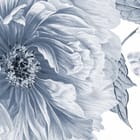 Miniatura fototapety Piwonie na białym tle fragment #1