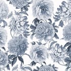 Miniatura fototapety Piwonie na białym tle