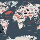 Miniatura fototapety Mapa świata z ikonami zwierząt