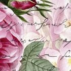 Miniatura fototapety Egzotyczne kwiaty z tekstem fragment #1