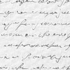 Miniatura fototapety Egzotyczne kwiaty z tekstem fragment #2