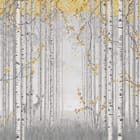 Miniatura fototapety Las brzozowy z żółtymi liśćmi