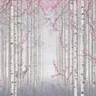 Miniatura fototapety Las brzozowy z różowymi kwiatami