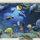 Miniatura fototapety Delfiny i ryby w oceanie