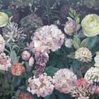 Miniatura fototapety Egzotyczne kwiaty w ogrodzie