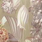 Miniatura fototapety Kwiaty polne w pastelowych barwach fragment #1