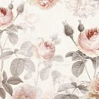 Miniatura fototapety Różowe róże na jasnym tle