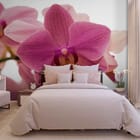 Miniatura fototapety Różowy kwiat orchidei na białym tle we wnętrzu sypialni