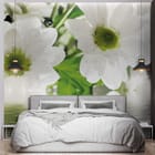 Miniatura fototapety Stokrotki z kroplami wody we wnętrzu sypialni