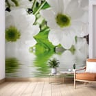 Miniatura fototapety Stokrotki z kroplami wody we wnętrzu salonu