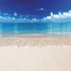 Miniatura fototapety Plaża z Błękitnym Oceanem