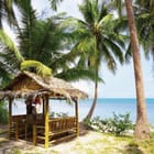 Miniatura fototapety Altana na plaży z palmami