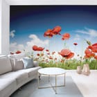 Miniatura fototapety Czerwone maki na letniej łące we wnętrzu salonu