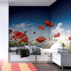 Miniatura fototapety Czerwone maki na letniej łące we wnętrzu pokoju nastolatka