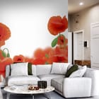 Miniatura fototapety Czerwone maki na białym tle we wnętrzu salonu