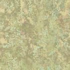 Miniatura fototapety Zielone Liście i Pnącza