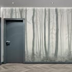 Miniatura fototapety Leśna mgła i wysokie pnie drzew we wnętrzu przedpokoju