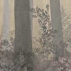 Miniatura fototapety Leśne drzewa i mglisty horyzont fragment #1