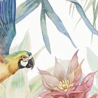 Miniatura fototapety Kolorowe ptaki w tropikalnej dżungli fragment #2